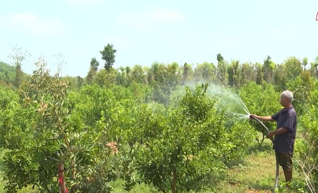 Triển khai cho vay tín dụng cấp nước sạch và vệ sinh môi trường nông thôn theo Quyết định số 10/2024/QĐ-TTg ngày 15/7/2024 của Thủ tướng Chính phủ